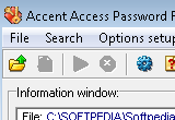 Accent ACCESS Password Recovery 2.10 poster