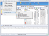 DriveHQ FileManager 5.2 Build 940 image 1