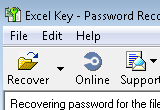Excel Password Recovery Key 9.3 Build 798 poster