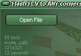 Flash FLV to ANY conversion tool 3.31 poster