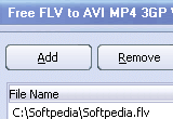 Free FLV to AVI MP4 WMV MP3 Converter 2.2 poster