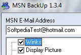 MSN BackUp 1.3.4 poster