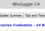 WinGuggle 2.4 poster