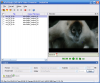 WinXMedia DVD MP4 Video Converter 3.25 image 0