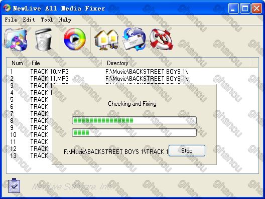 Newlive All Media Fixer Pro 9.11 Crack